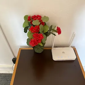 https://rose-view-guest-house.hotels-lisbon-portugal.com